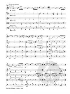 Souvenir of Turkey von Donald Draganski 