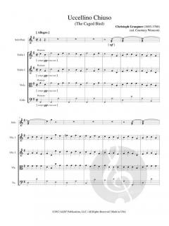 Uccellino Chiuso (The Caged Bird) von Christoph Graupner 