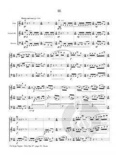 Trio op. 67 von Crt Sojar Voglar 