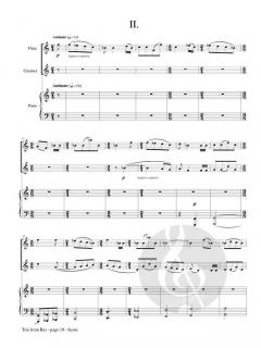 Trio from Rio von Donald Draganski 