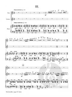 Trio from Rio von Donald Draganski 