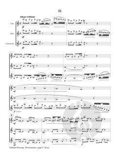 Divertimento von Graham Powning 