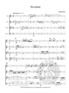 Novelette von David Uber 