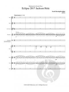 Eclipse 2017 Jackson Hole von Sarah Bassingthwaighte 