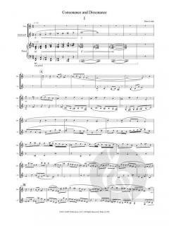 Consonance and Dissonance von Shane Lamb 