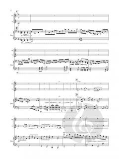 Consonance and Dissonance von Shane Lamb 