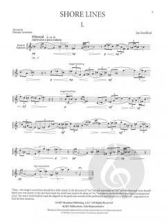 Shore Lines von Jan Swafford 