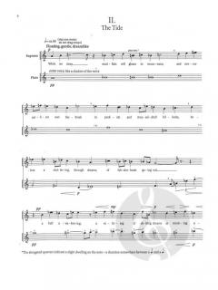 Shore Lines von Jan Swafford 