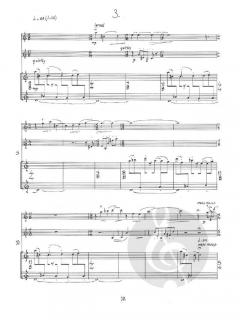 A Whimsical Solution von Ken Benshoof 