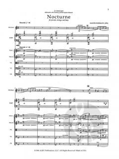 Nocturne von Martin Rokeach 