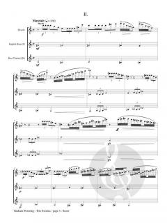 Trio Exotica (Alto Flute/Piccolo, English Horn, Bass Clarinet) von Graham Powning 