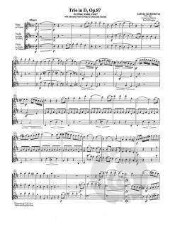 Trio in D Major op. 87 von Ludwig van Beethoven 