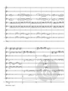 Marche Slave von Peter Iljitsch Tschaikowsky 