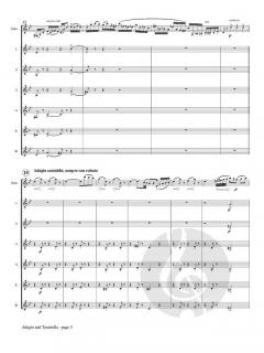 Adagio and Tarantella von Ernesto Cavallini 