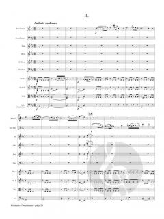 Concerto Concertante von Franz Danzi 