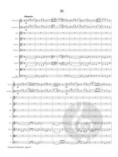 Concerto Concertante von Franz Danzi 