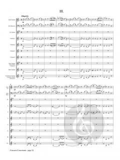 Concerto Concertante von Franz Danzi 