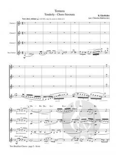 2 Brazilian Choros - Meu Beguin and Ternura 