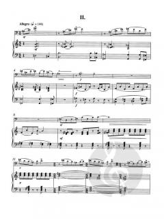 Duet in 2 Movements von Anthony Ferrara 