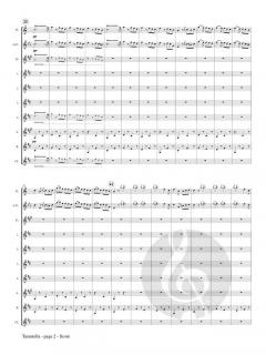 Tarantella op. 6 von Camille Saint-Saëns 