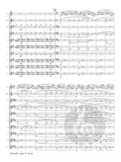 Tarantella op. 6 von Camille Saint-Saëns 