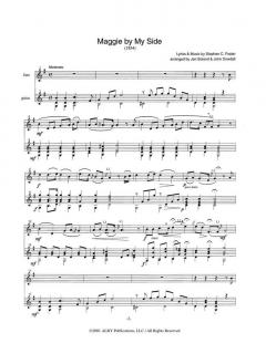 Ballads: The Foster Collection, Vol II von Stephen C. Foster 