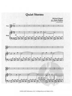 Quiet Storms von Michael Hoppe 
