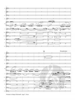 Nocturne et Allegro Scherzando von Philippe Gaubert 