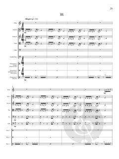 Concerto von Eugene Magalif 