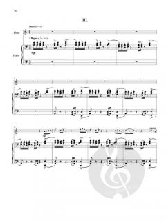 Concerto von Eugene Magalif 