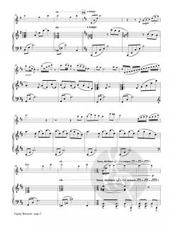 Cigany Konnyek (Gypsy Tears) von P. Brent Register 