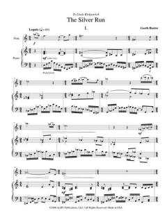 The Silver Run von Garth Baxter 