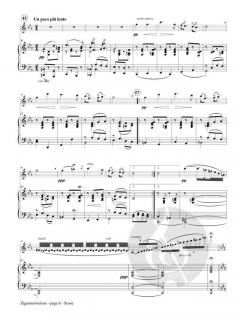 Zigeunerweisen von Pablo de Sarasate 