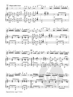 Zigeunerweisen von Pablo de Sarasate 