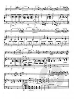 Fantasia on 'Mutterseelenallein' von Franz Doppler 