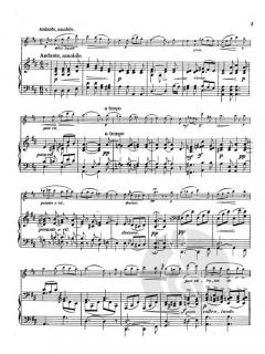 Fantasia on 'Mutterseelenallein' von Franz Doppler 