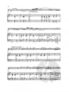 The Dear Irish Boy von Richard Yeabsley 