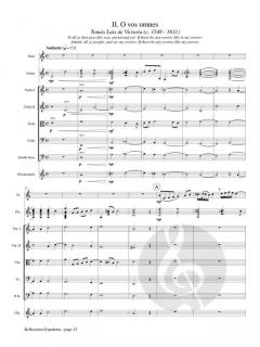 Reflexiones Espanolas 