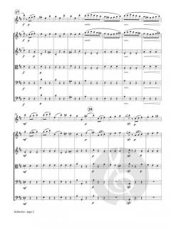 Scherzino von Joachim Andersen 