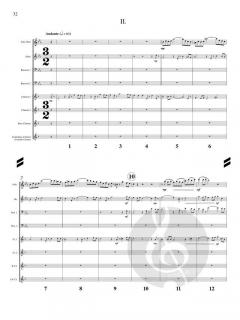 Concerto von Eugene Magalif 