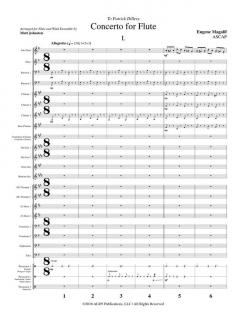 Concerto von Eugene Magalif 