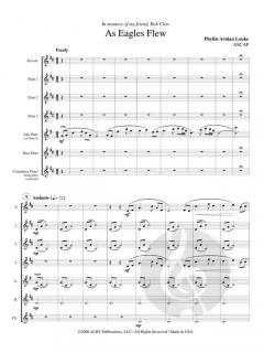 As Eagles Flew von Phyllis Avidan Louke 