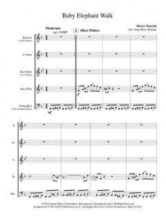 Baby Elephant Walk von Henry Mancini 