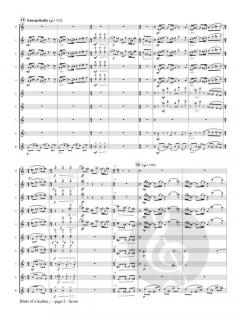 Birds of a feather... von Eva Young 