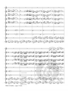 Birds of a feather... von Eva Young 