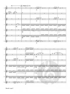 Borealis von Alexandra Molnar-Suhajda 