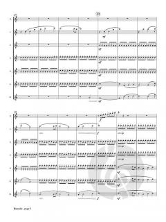 Borealis von Alexandra Molnar-Suhajda 