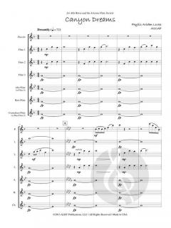 Canyon Dreams von Phyllis Avidan Louke 