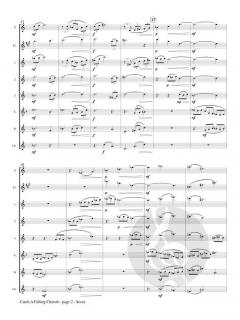 Catch A Falling Cherub von Catherine McMichael 