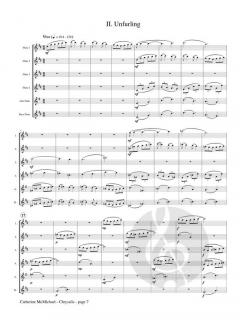 Chrysalis von Catherine McMichael 